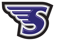 Stonehill Skyhawks Women's Basketball