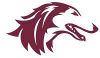 Southern Illinois Salukis Women's Track/Field