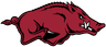 Arkansas Razorbacks Softball