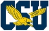 Coppin State Eagles Women's Volleyball