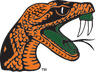 Florida A&M Rattlers Volleyball