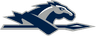 Longwood Lancers Women's Track/Field